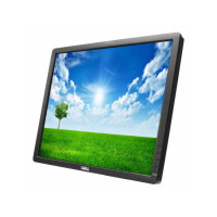 Реновиран монитор Dell Professional P1913Sf | без забележки | без стойка